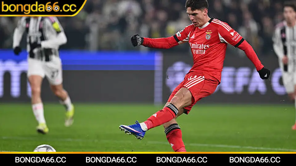 Soi kèo bóng đá hôm nay: cách đọc kèo châu Á và tài xỉu thực chiến