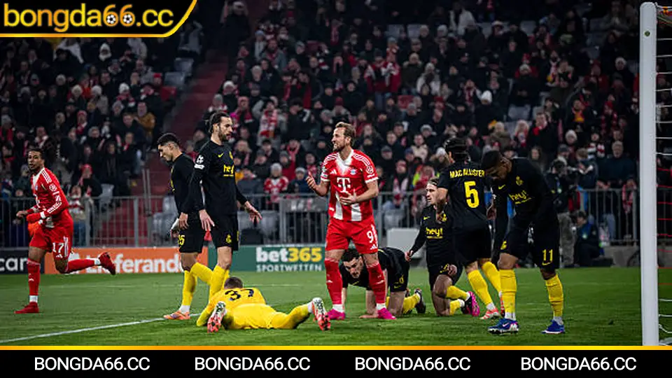 Soi kèo bongda66: vòng loại giải vô địch bóng đá thế giới và Ngoại hạng Anh