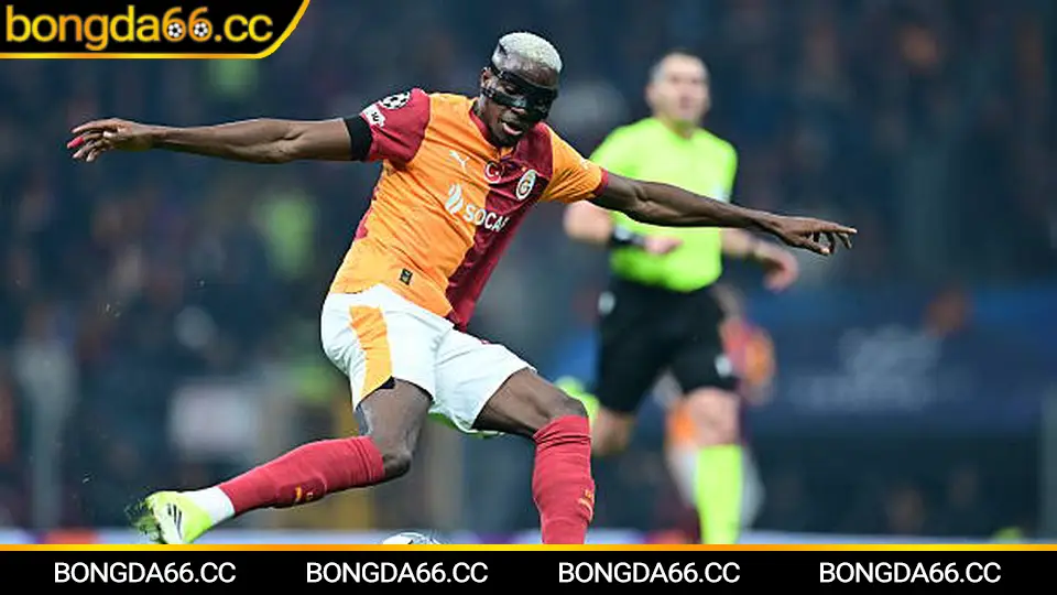 Soi kèo Fenerbahce 2026: xu hướng kèo châu Á và tài xỉu theo phong độ