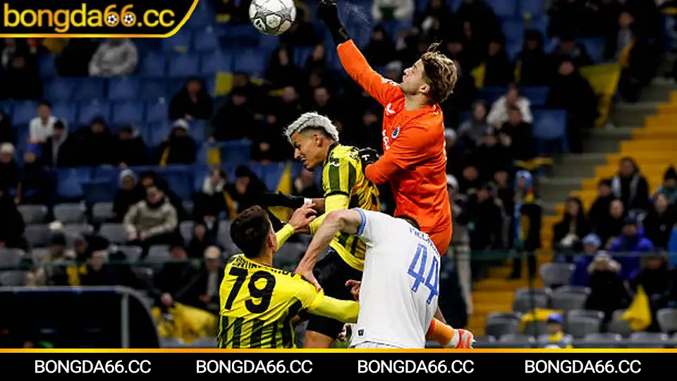 Soi kèo theo kết quả bóng đá Đức và xu hướng tỷ lệ bàn thắng