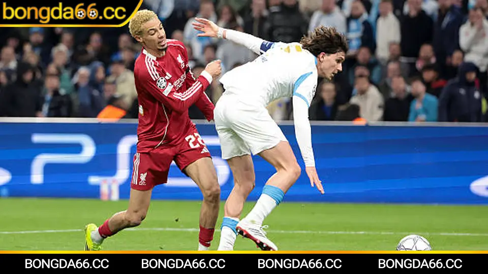 Soi kèo Liverpool trên bongda66: tỷ lệ, phong độ và dự đoán trận đấu