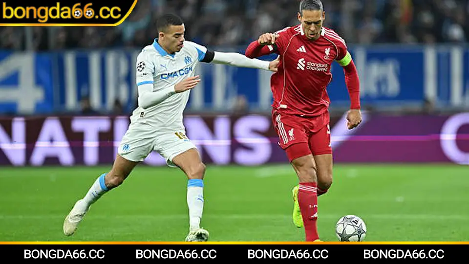 Soi kèo nhận định bóng đá hôm nay theo phong độ và lịch thi đấu