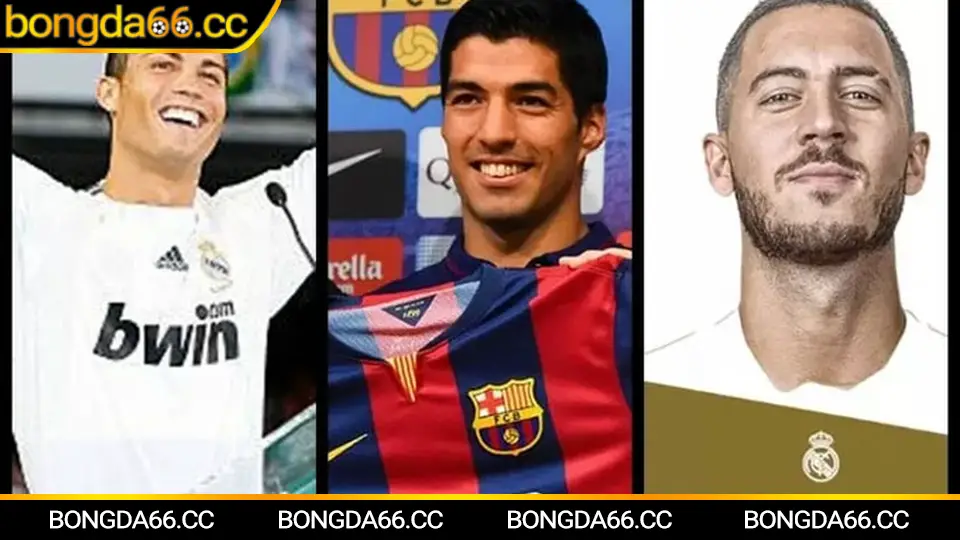 Soi kèo Schalke 04 trên bongda66: xu hướng phong độ mùa 2026