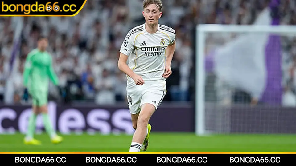 Trận Tây Ban Nha vs Anh Euro 2024: trực tiếp kèo nhà cái theo nhịp trận