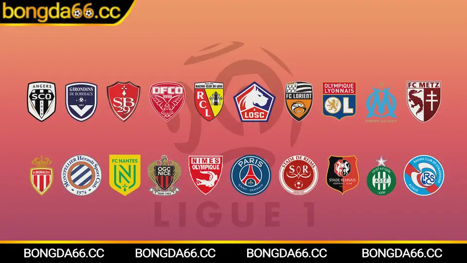 Tây Ninh FC toàn cảnh đội bóng miền Đông Nam Bộ mùa 2026