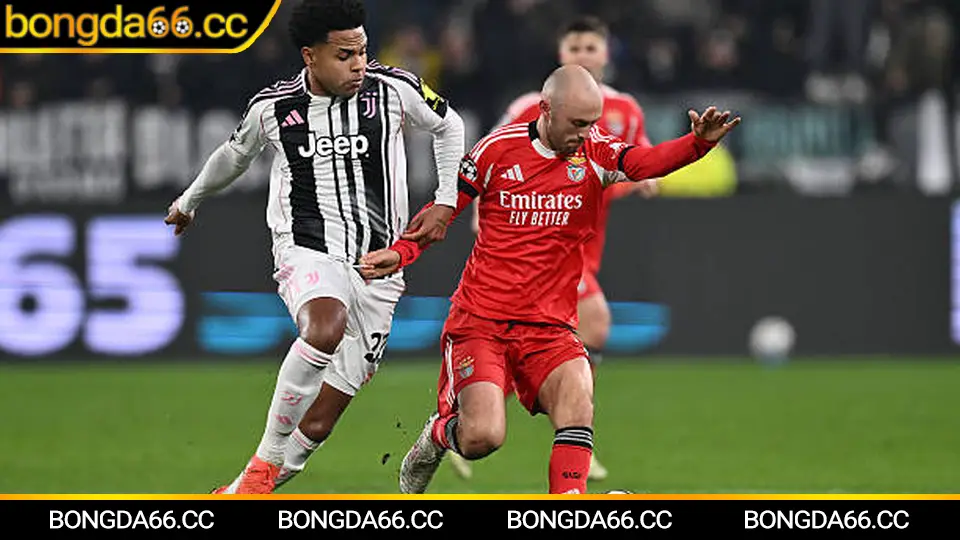 Tottenham đấu với Liverpool: nhịp độ cao và điểm nóng vòng cấm