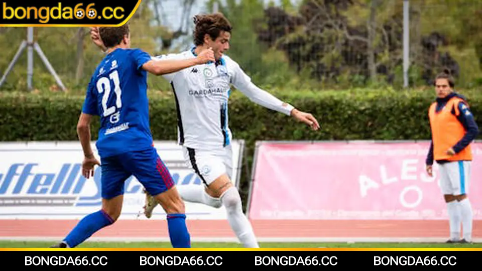 Biểu đồ tỷ lệ cá cược biến động trước giờ lăn bóng 2026