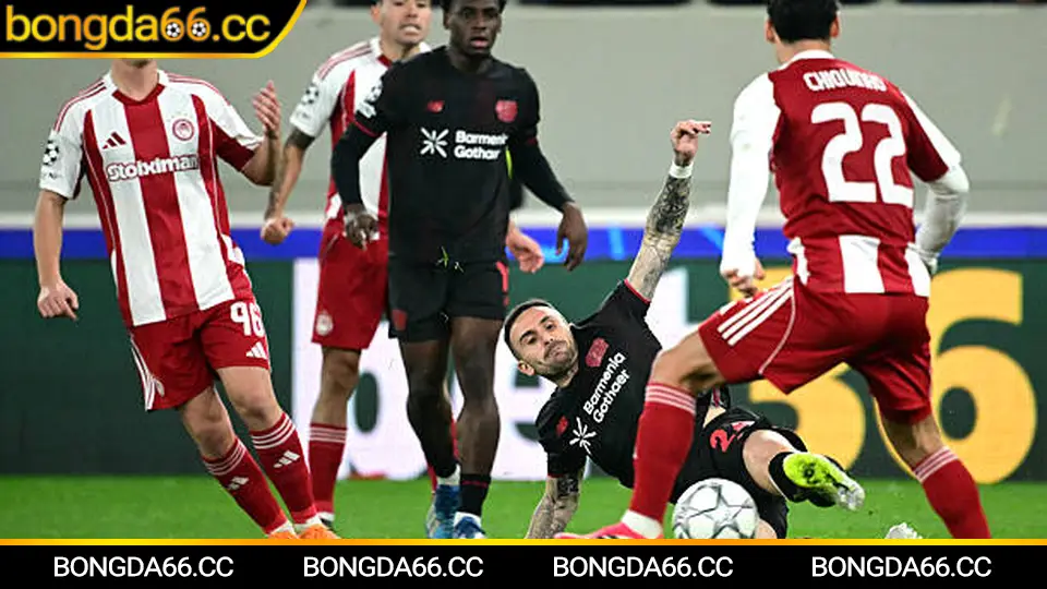 Xem trực tiếp bóng đá Việt Nam: mẹo đọc tỷ lệ kèo và biến động