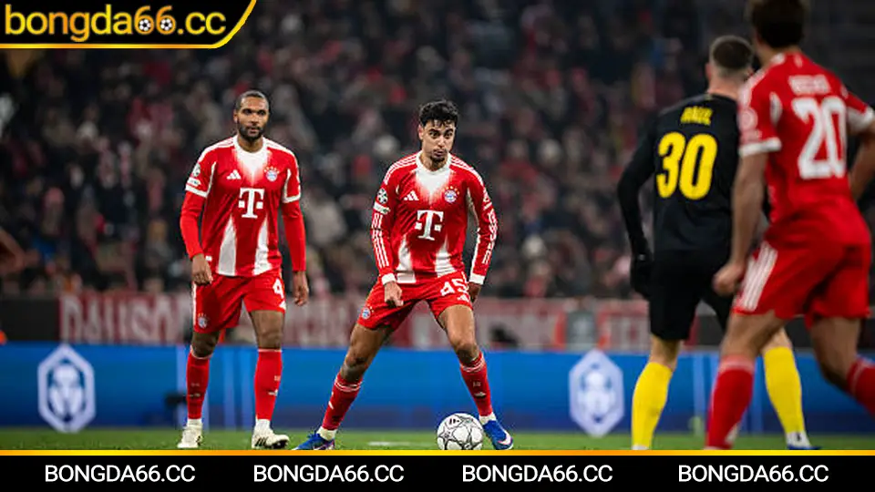 Arsenal: Hành Trình Vĩ Đại Của Những Người Pháo Thủ Trong Mùa Giải 2025/26