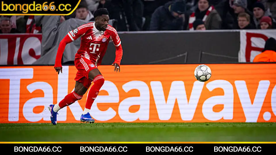 Bóng đá live theo dõi kèo nhà cái trong trận đấu kinh điển World Cup