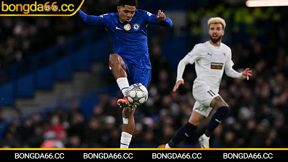 Đọc tỷ lệ bóng đá live khi xem trực tiếp bóng đá hôm nay theo nhịp trận