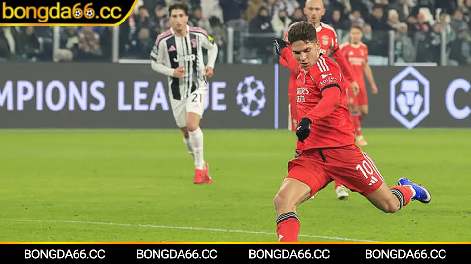 Đội tuyển Pháp tại World Cup 2026: Kết quả bóng đá Pháp dự đoán và phân tích đội hình ngôi sao Mbappé