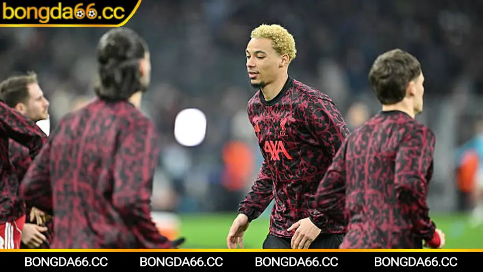 Dự đoán kèo cược C1 dựa trên bảng xếp hạng và nhận định bóng đá chuyên sâu