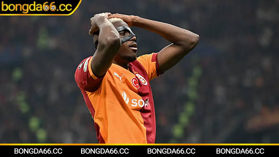 Dự đoán kết quả trực tiếp bóng đá Việt Nam hôm nay với phân tích chuyên gia về các trận V-League và kèo cá cược hấp dẫn