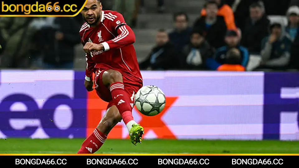 Dự đoán số liệu thống kê Ngoại hạng Anh mùa 2025/2026 với biểu đồ xu hướng vô địch