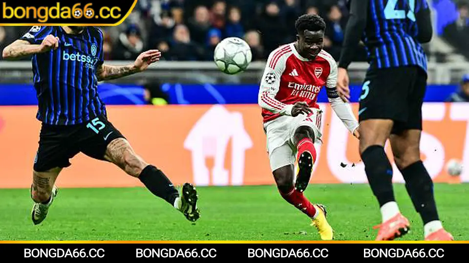 Lịch Bóng Đá Việt Nam 2026: Cập Nhật Đầy Đủ Và Dự Đoán Hấp Dẫn Cho Fan Hâm Mộ