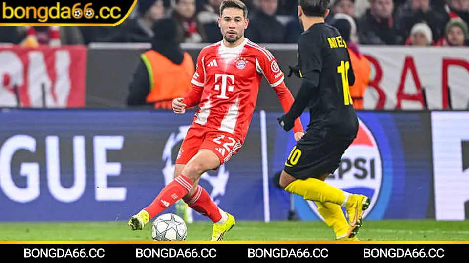 Lịch thi đấu bóng đá hôm nay 02/02/2026: Cập nhật nhanh, soi kèo chuẩn nhịp tại bongda66