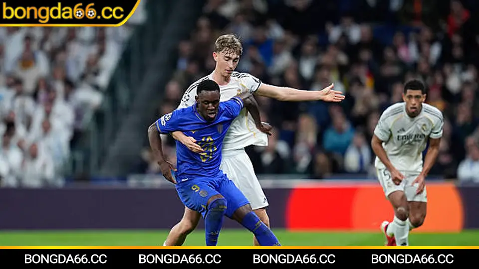 Bóng Đá Việt Nam Hôm Nay: Cập Nhật Tin Tức Nóng Hổi Và Dự Đoán Vòng Đấu Sắp Tới