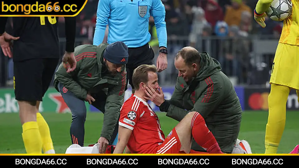 Dự đoán đá banh trực tiếp World Cup 2026 với phân tích chuyên sâu và tỷ lệ kèo tại Bongda66