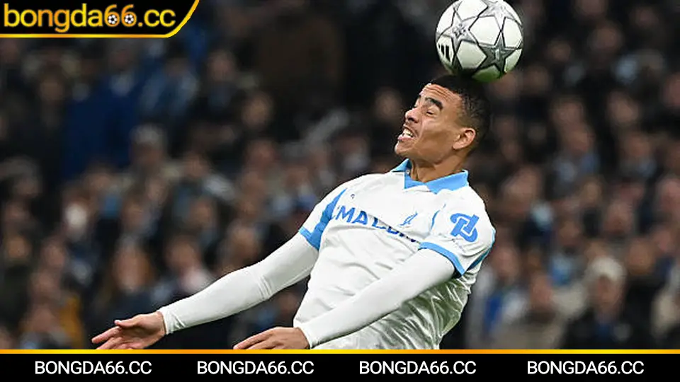 Lịch Thi Đấu Bóng Đá Việt Nam 2026: Cập Nhật Chi Tiết Và Dự Đoán Hấp Dẫn