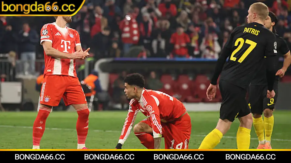 Đội Tuyển Bóng Đá Quốc Gia Malaysia: Hành Trình Harimau Malaya Và Triển Vọng Sáng Ngời