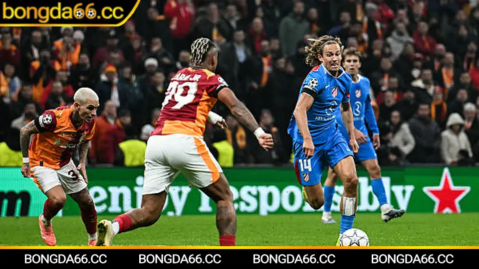 Bảng Thứ Hạng Ligue 1 2026: Phân Tích Sâu Sắc Và Bí Quyết Cá Cược Thông Minh