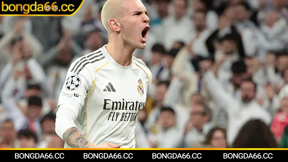 Dự đoán xu hướng tỷ lệ kèo bóng đá cho World Cup 2026 và các giải đấu lớn