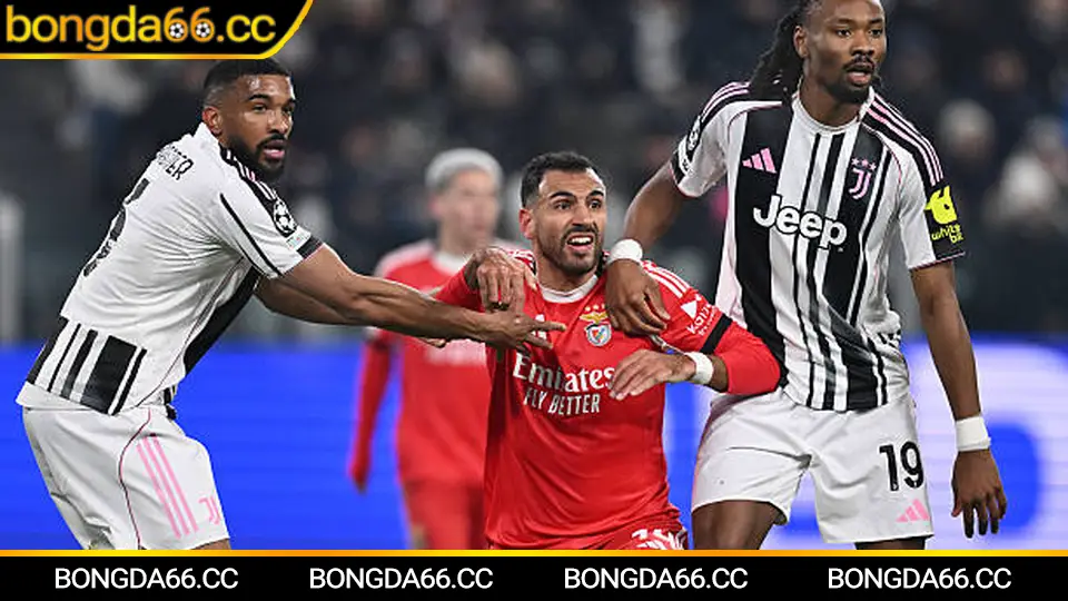 Kèo Nhà Cái 5: Bí Quyết Phá Đảo Tỷ Lệ Cược Bóng Đá Hấp Dẫn Nhất 2026