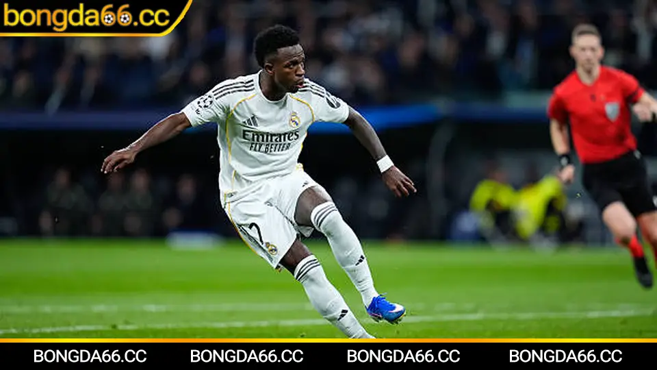 Lịch thi đấu V-League 2026 với các trận đấu kịch tính giữa các CLB hàng đầu Việt Nam