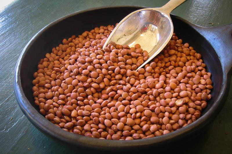 Obat baru untuk alergi kacang