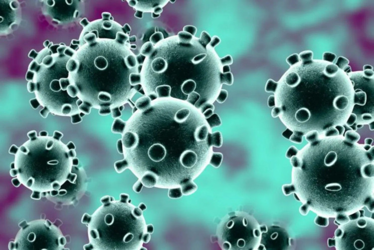 Virus Coronadiatasi dengan obat HIV-obat flu