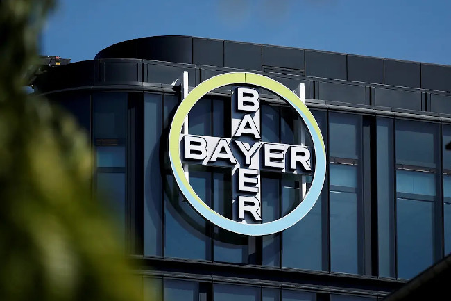 kantor Bayer