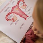 a paper with reproductive system parts