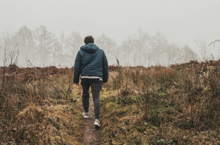 man wearing blue bubble hoodie jacket walking on green grass field